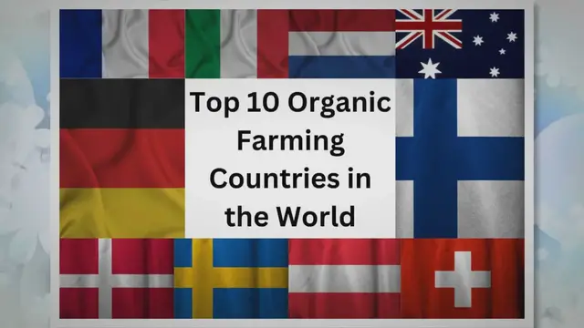 'Video thumbnail for Top 10 Organic Farming Countries in the World'