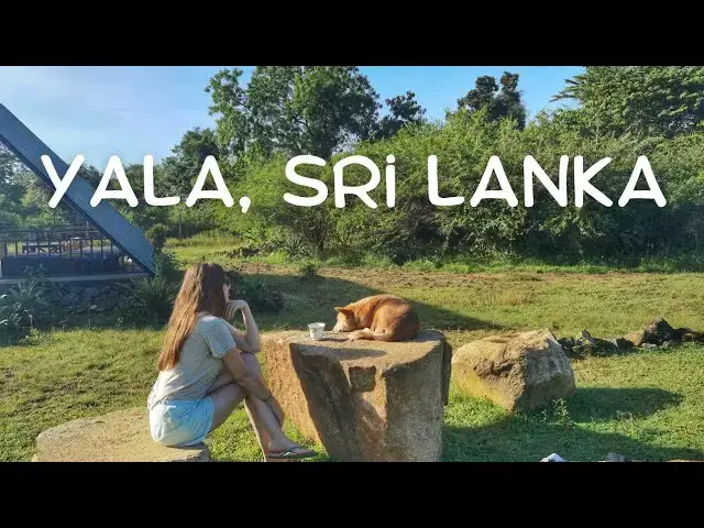 'Video thumbnail for Yala Diaries: Wildlife Encounters in Yala National Park and Pursuing Passion in Life'