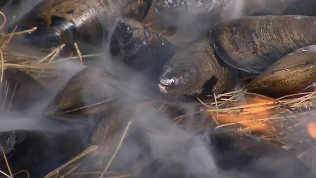 'Video thumbnail for Mussels Smoked on Pine Needles!'