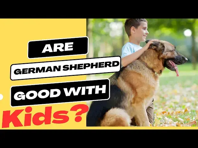'Video thumbnail for Are German Shepherd Good With Kids'