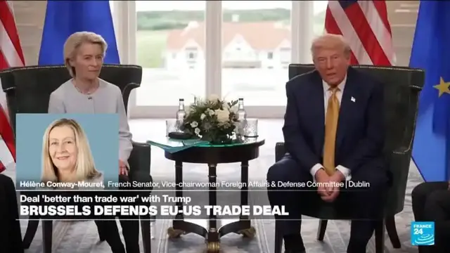 'Video thumbnail for 'EU has a lot to lose': US-EU trade deal with Trump counter to what 'EU should be standing for''