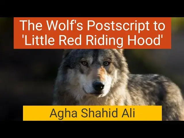 'Video thumbnail for The Wolf's Postscript to 'Little Red Riding Hood''