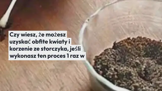 'Video thumbnail for Obfite kwiaty i korzenie ze storczyka, jeśli wykonasz ten proces 1 raz w miesiącu'