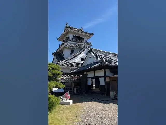 'Video thumbnail for Kochi Japan: My Day In Port #shorts'