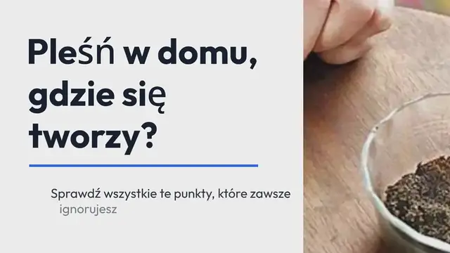'Video thumbnail for Pleśń w domu, gdzie się tworzy? Sprawdź wszystkie te punkty, które zawsze ignorujesz'