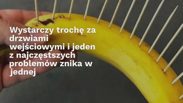'Video thumbnail for Umieść garść za drzwiami wejściowymi: pozbędziesz się tego powszechnego problemu'