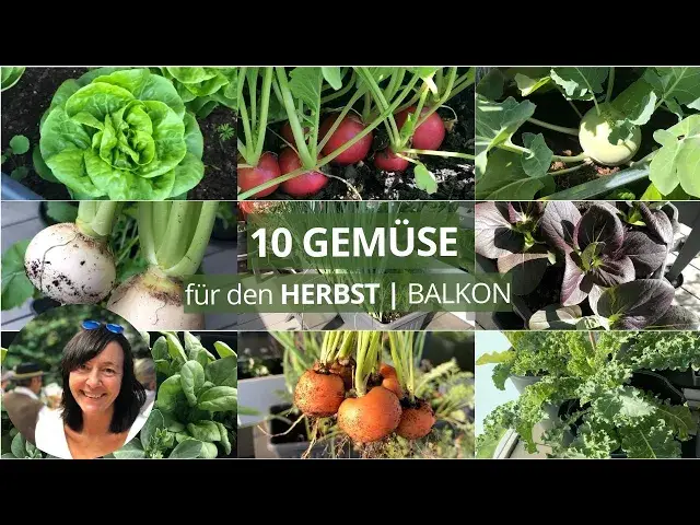 'Video thumbnail for 10 GEMÜSE, die du im HERBST auf dem BALKON anbauen kannst'