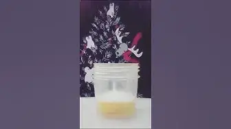 'Video thumbnail for How to Make Mayonnaise'