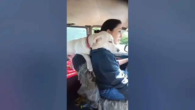 'Video thumbnail for Someone will tell us when we get there.🤔🤨😂#shorts'