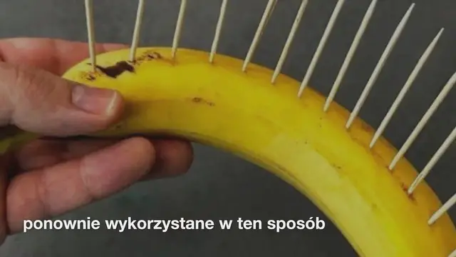 'Video thumbnail for Nie wyrzucaj pustych opakowań leków, są one bardzo przydatne ponownie wykorzystane w ten sposób'