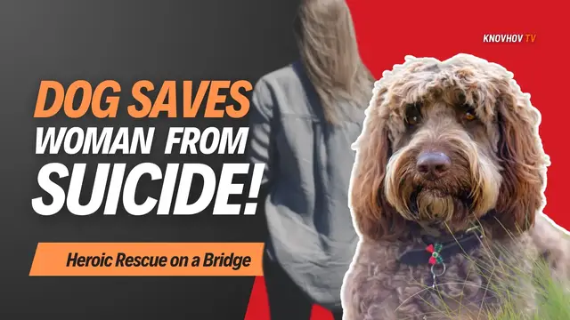 'Video thumbnail for DOG SAVES WOMAN FROM SUICIDE! 🐶❤️ | Heroic Rescue on a Bridge'