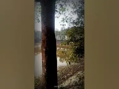 'Video thumbnail for Bhutiya Pokhar Raniganj #raniganj'