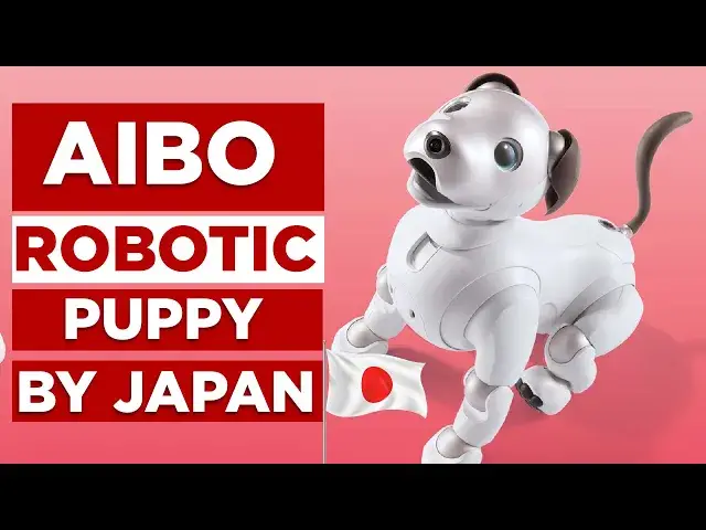 'Video thumbnail for Meet Aibo: Japan's Next-Level Robotic Pet of 2024'