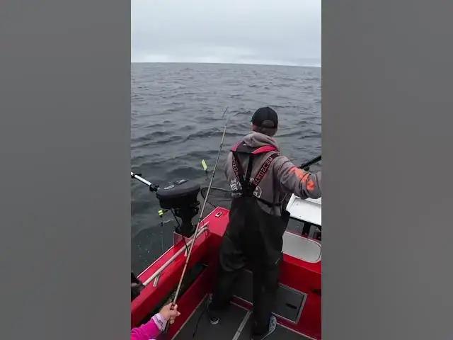 'Video thumbnail for Decent size chinook always make for a fun battle! Anyone excited for the Puget Sound opener!!?'