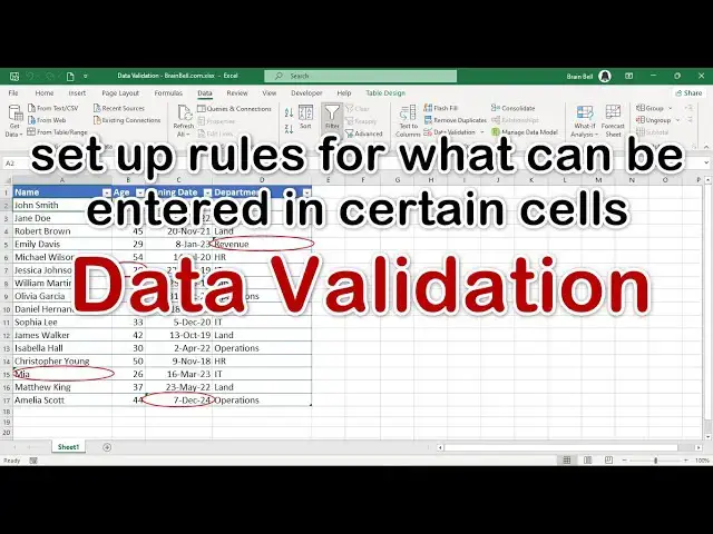 'Video thumbnail for Ensuring Data Accuracy with Excel Data Validation'
