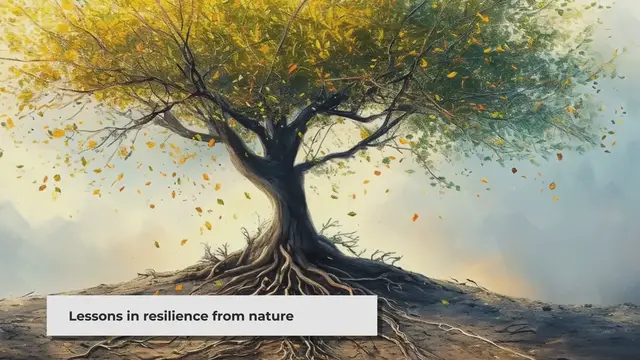 'Video thumbnail for The Oak Tree: A Lesson in Resilience'