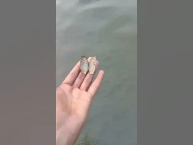 'Video thumbnail for Water Vlog'