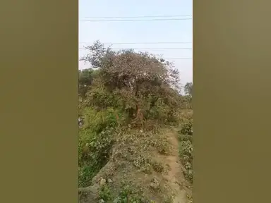 'Video thumbnail for Narpatganj Vlog'