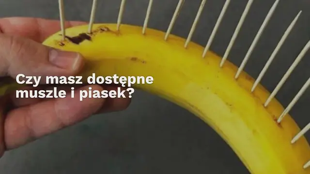 'Video thumbnail for Muszle i piasek, nieoczekiwane, co możesz stworzyć: jakie są wyniki'