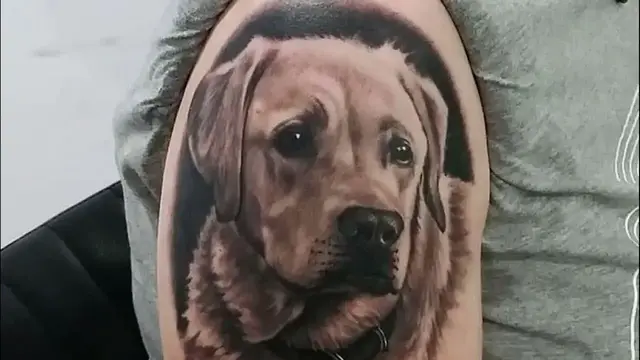 'Video thumbnail for 22 Best Labrador Tattoo Ideas You Have To See To Believe!'