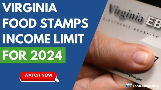 'Video thumbnail for Virginia Food Stamp Income Limits for 2024'