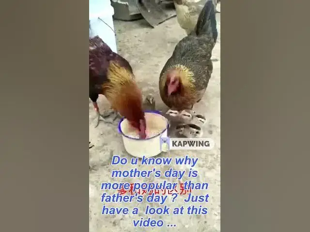 'Video thumbnail for Why Women are the most Love by kids'