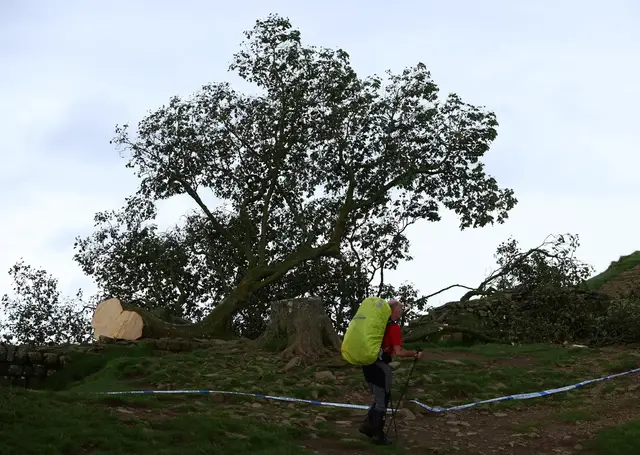 'Video thumbnail for Men sentenced for felling England’s ‘Sycamore Gap’ tree'
