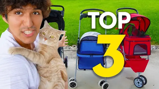 'Video thumbnail for I Tried The Best Pet Strollers In 2024'