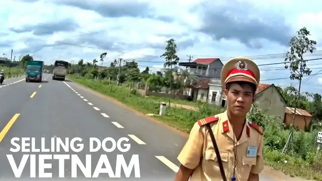 'Video thumbnail for SELLING DOG AT A VIETNAM MARKET'