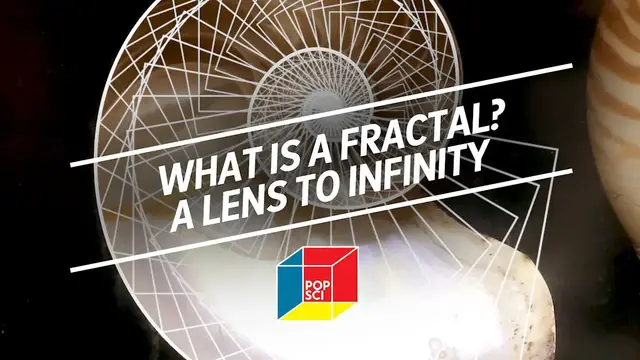 'Video thumbnail for What is a fractal? A lens to infinity'