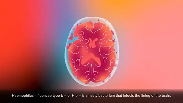 'Video thumbnail for Why Should You Get the Hib Vaccine'