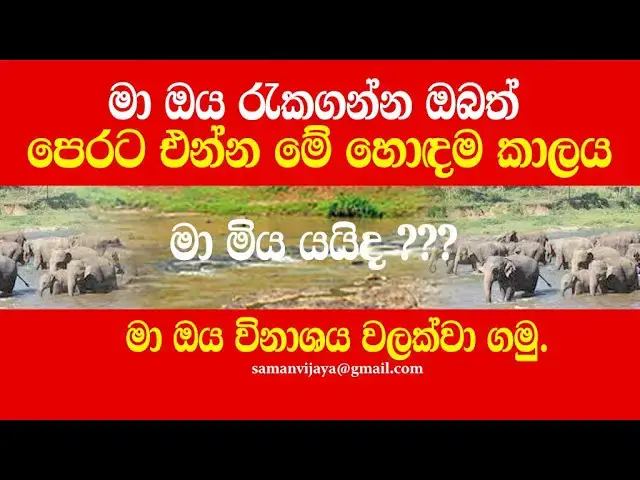 'Video thumbnail for Ma Oya මා ඔය මිය යයිද ? මෙහෙම ගියොත්'