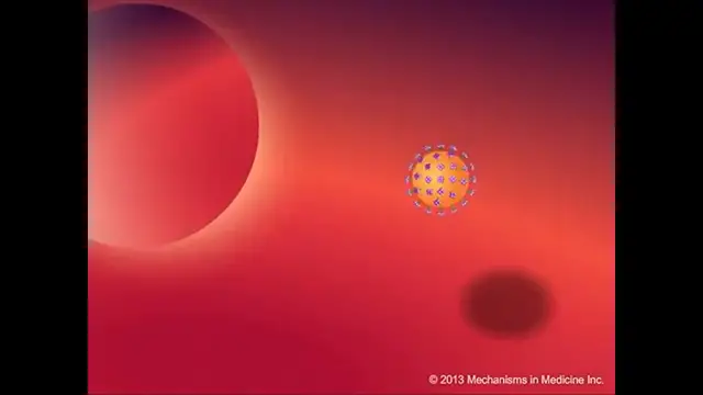 'Video thumbnail for HIV Life Cycle'