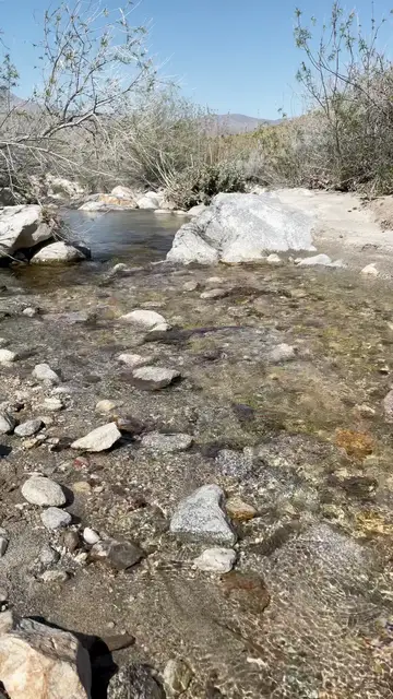 'Video thumbnail for Desert Stream'