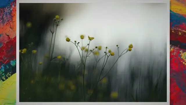 'Video thumbnail for Unlock the Beauty: A Comprehensive Guide to When Roses Bloom'