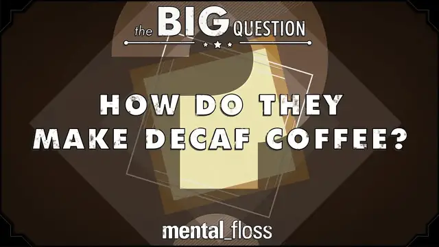 'Video thumbnail for How Do They Make Decaf Coffee? - Big Questions - (Ep.1)'