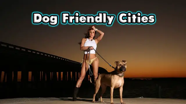 'Video thumbnail for 10 Most Dog Friendly Cities in The United States'