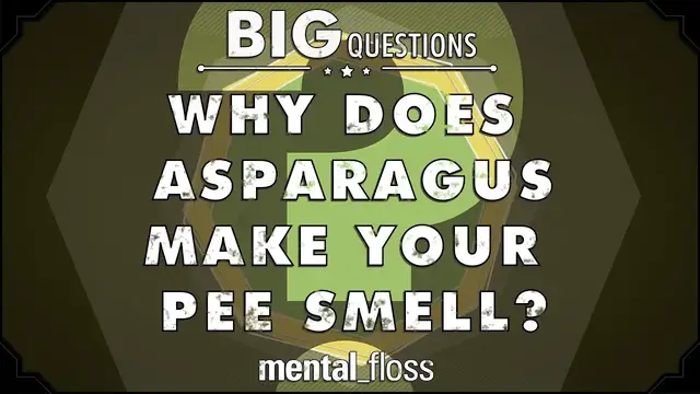 'Video thumbnail for Why does asparagus make your pee smell? - Big Questions - (Ep. 22)'