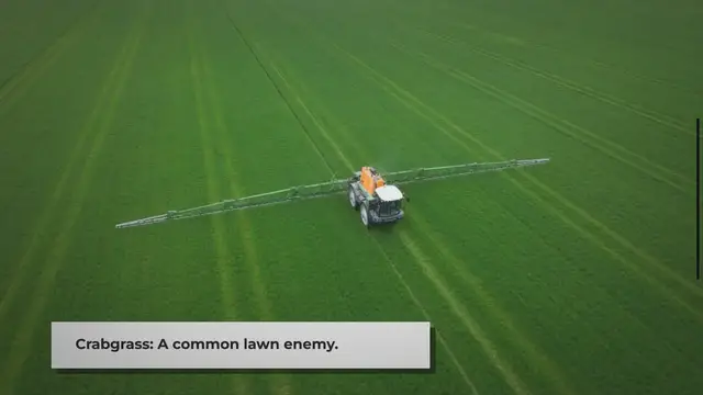 'Video thumbnail for 7 Effective Strategies to Eliminate Crabgrass from Your Lawn'