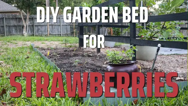 'Video thumbnail for How to Set Up a Simple, Inexpensive Strawberry Bed'