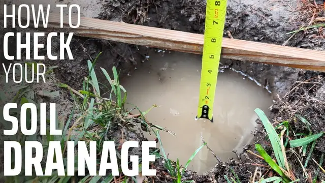'Video thumbnail for Simple DIY Soil Drainage Test (Do This Before You Plant a Fruit Tree!)'