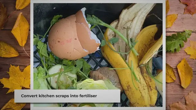 'Video thumbnail for Video 41:  Make Your Own Soil Conditioner'