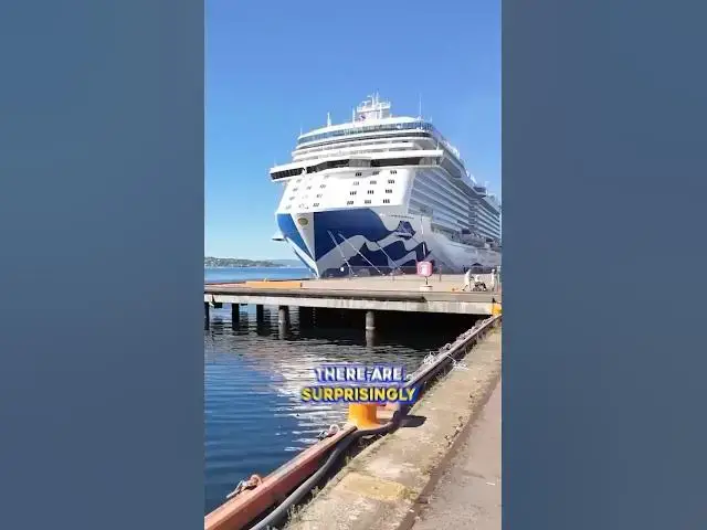 'Video thumbnail for Princess Cruises Made This Unwelcome Change #Shorts #cruisetips'