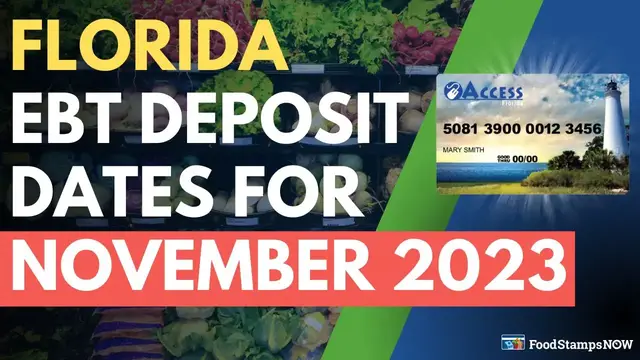 'Video thumbnail for Florida Food Stamp Deposit Dates for November 2023'