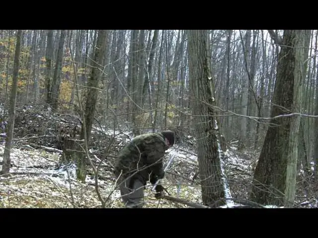 'Video thumbnail for Day Trip March 10 - Unexpected Guest'
