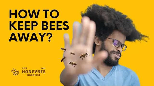 'Video thumbnail for How To Keep Bees Away?'