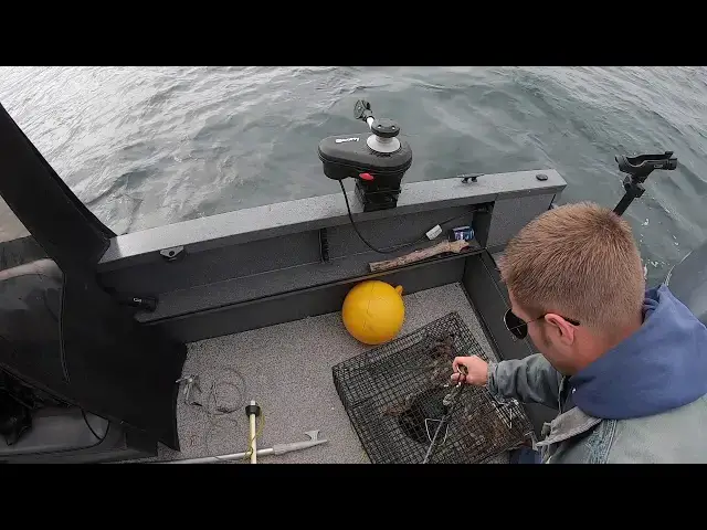 'Video thumbnail for Hood Canal Shrimping May 2019'