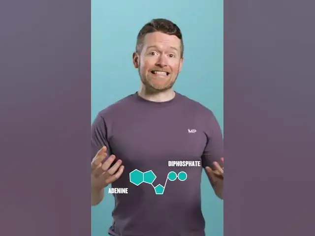 'Video thumbnail for what does creatine even do? 🤔 #shorts'