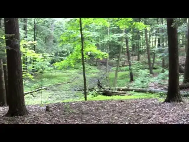 'Video thumbnail for Stony Brook State Park - Hiking And Mountain Man Breakfast'
