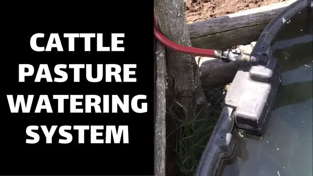 'Video thumbnail for Cattle Pasture Watering System'